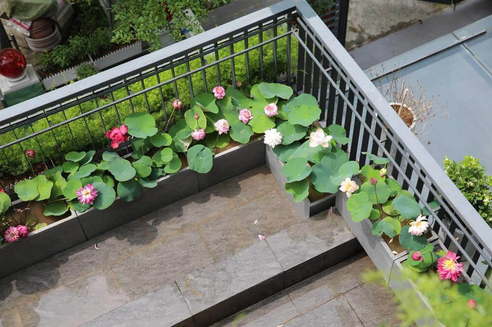 Trang trí tiểu cảnh đơn giản